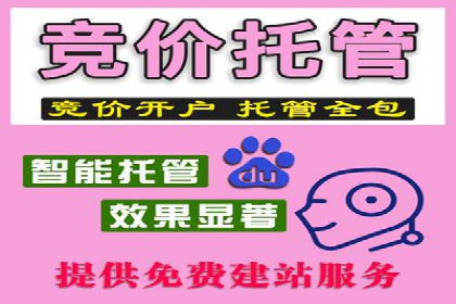 推广竞价策略优化：借鉴成功案例实现精准营销